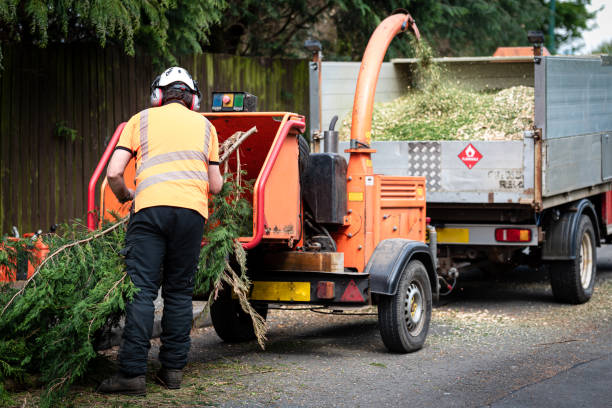  , USA Tree Care Services Pros